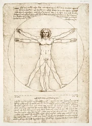 Le proporzioni della figura umana (da Vitruvio), c. 1492 (facsimile)